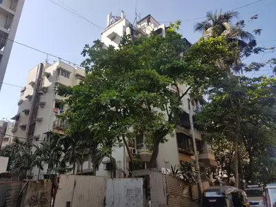 Ivory Tower