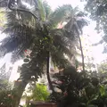 Sunshine Apartment