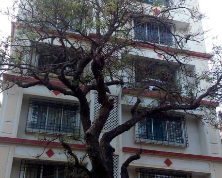 Building - Regent Park, Bandra West