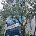 Gujral House