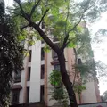 Kingston Apartment