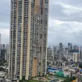 Orchid Enclave