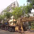 Panchsheel Garden