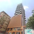 Primordial House