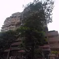 A1 Apartments