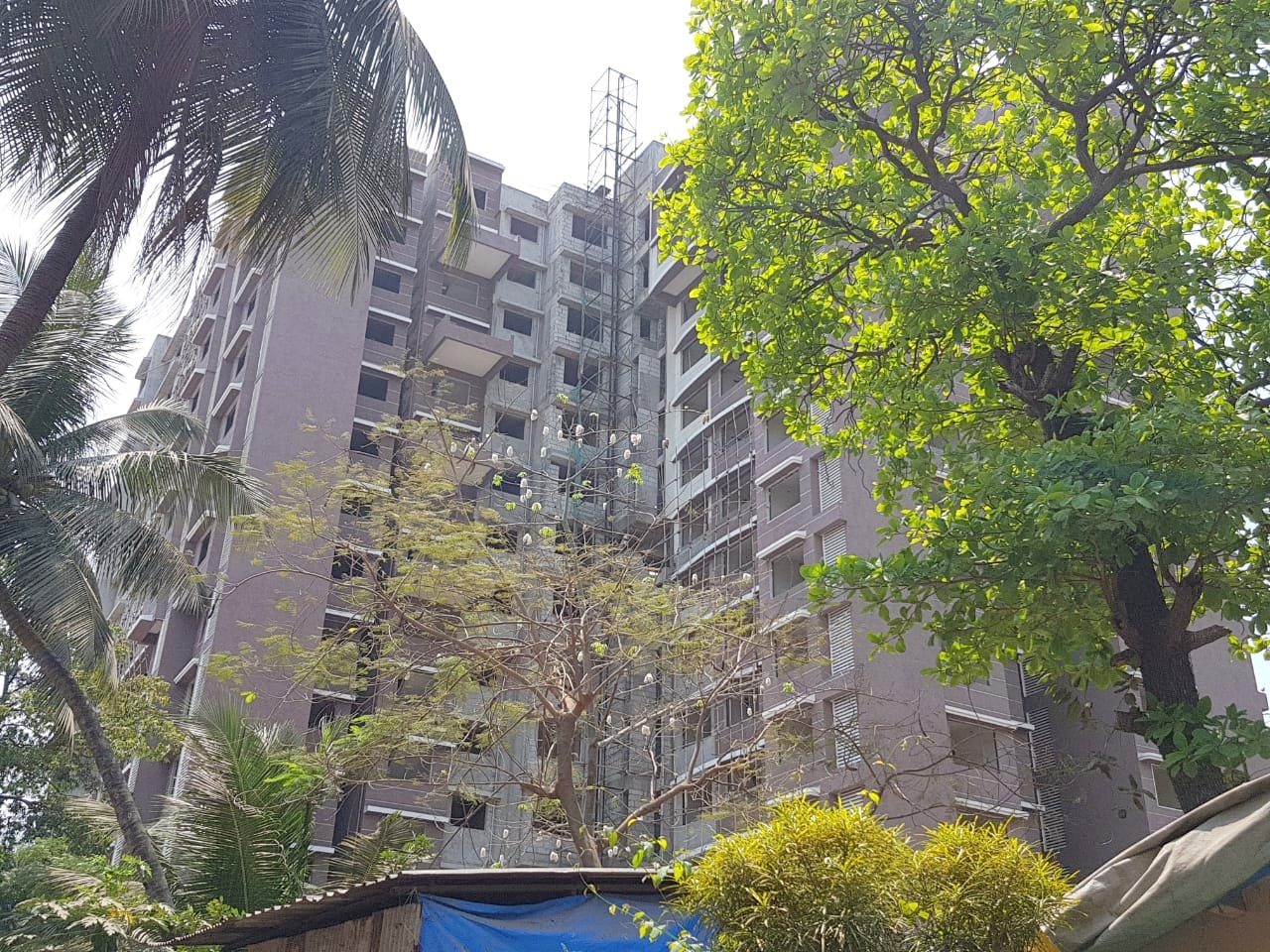 Amber Wood in Andheri West