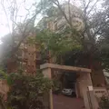 Green Crest