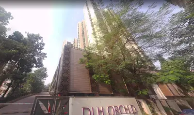 DLH Orchid