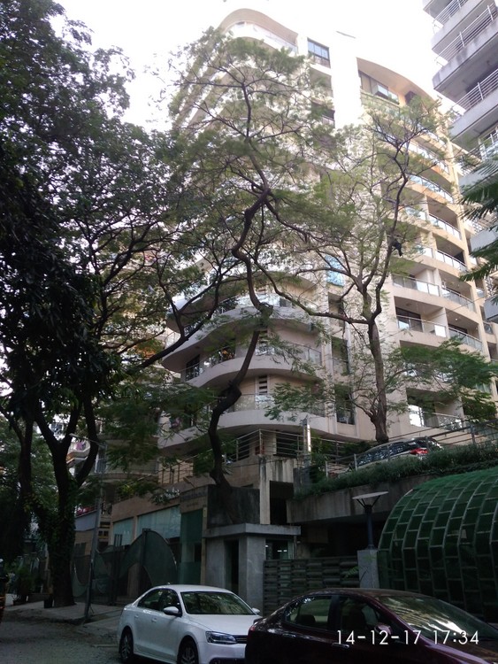 Ever Glades in Bandra West