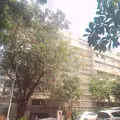 Rashmi