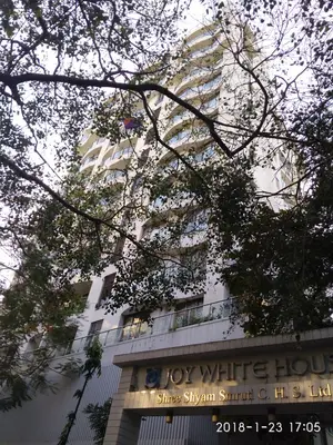 Joy White House