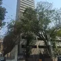 One Altamount