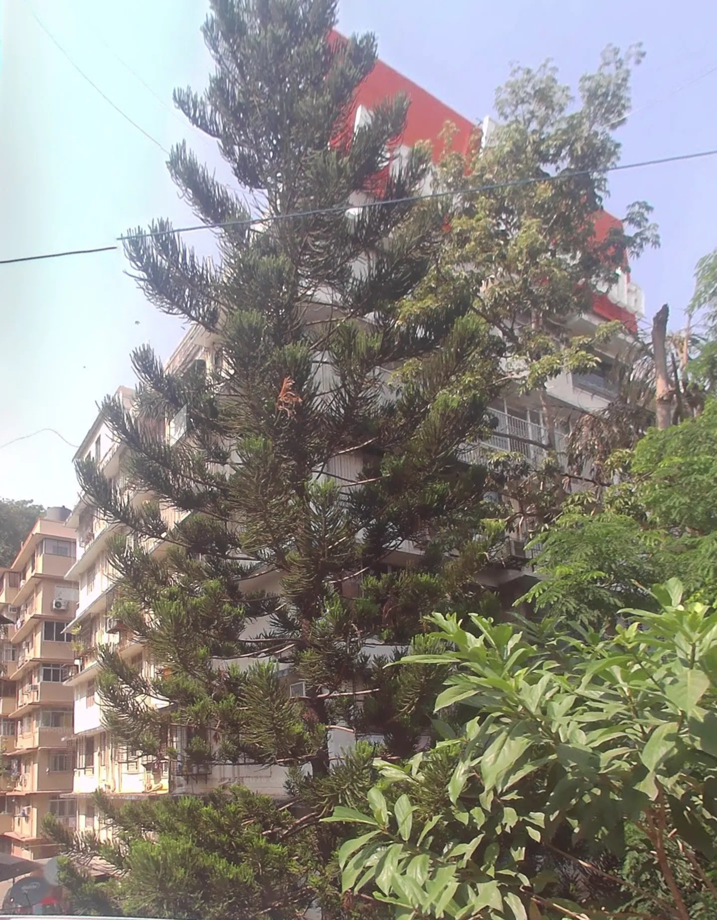 New Shree Niketan