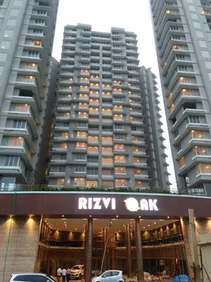 Rizvi Oak