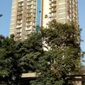 Thakur Jewel