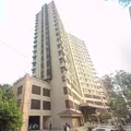 Woodlands