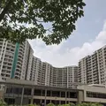 Kalpataru Aura