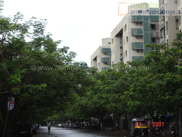 Arjun — Dahisar East (4)