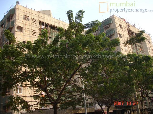 Arjun — Dahisar East (5)