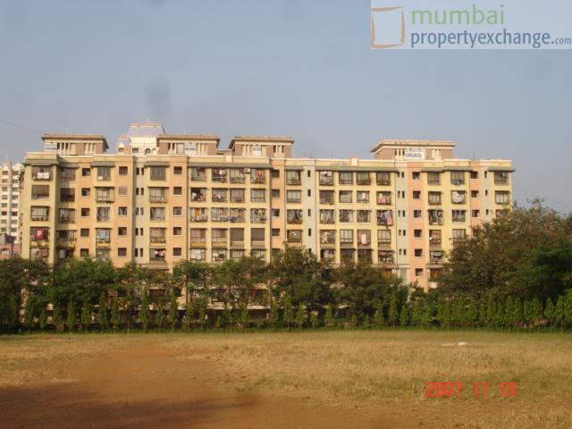 Orchid — Chembur (5)