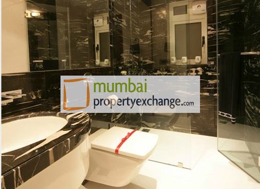 RNA Metropolis โ Sewri (6)