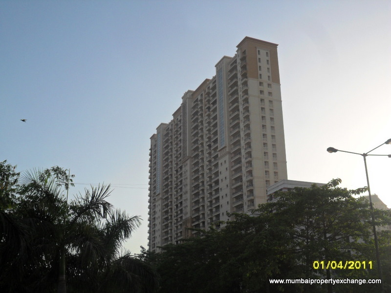 Tribeca — Thane West (8)