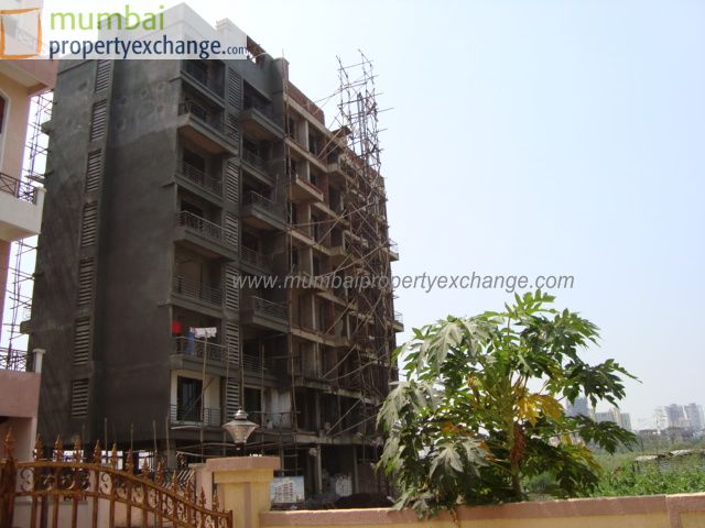 Neptune — Nerul (2)