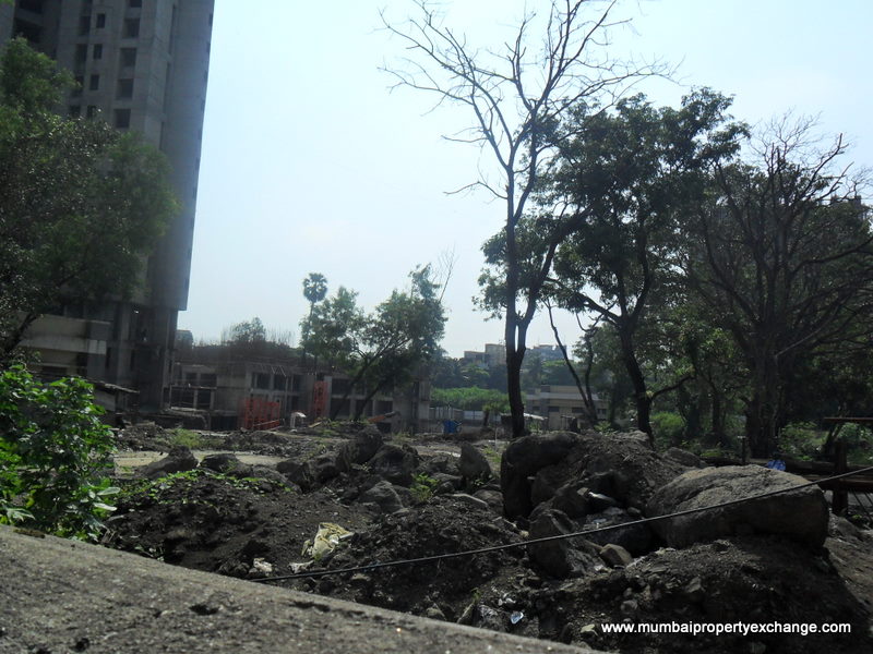 Thrill and Triumph — Mulund West (5)