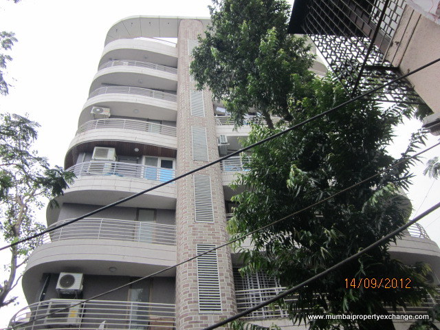 Shelton — Santacruz East (8)