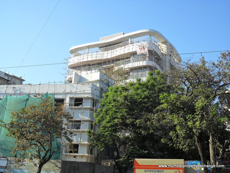 Shelton โ Santacruz East (5)