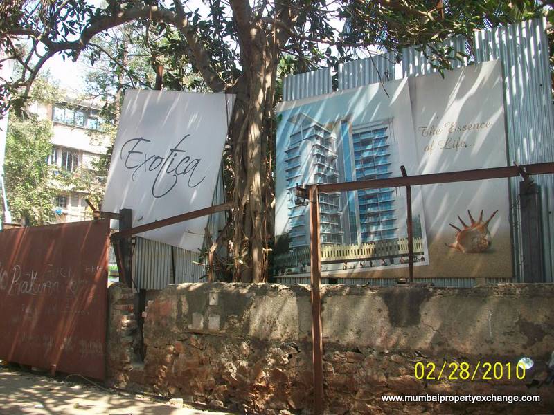 Exotica โ Juhu (3)