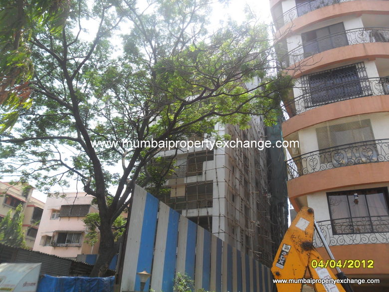 Palazzo — Santacruz East (5)