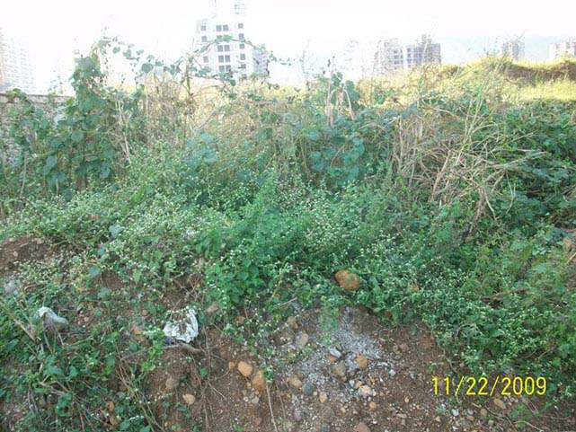 Taj Hills — Kharghar (6)