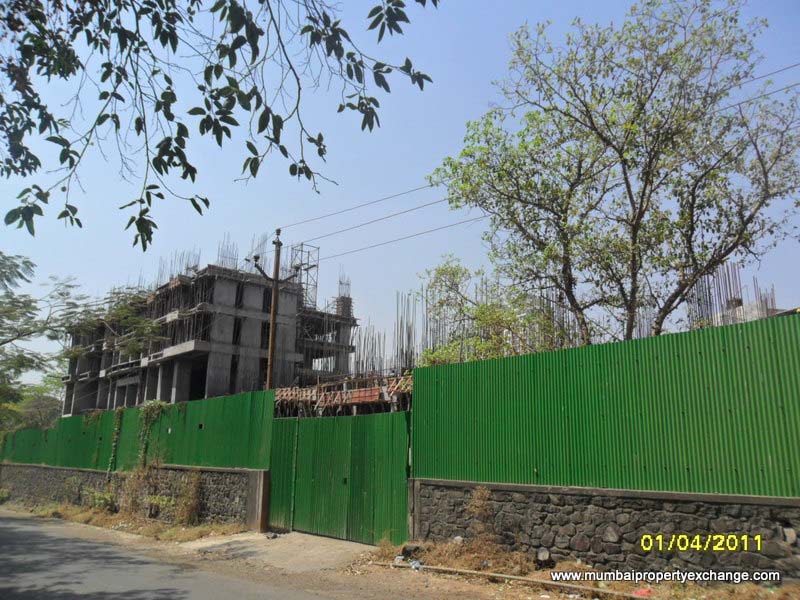Cosmos Horizon — Thane West (5)
