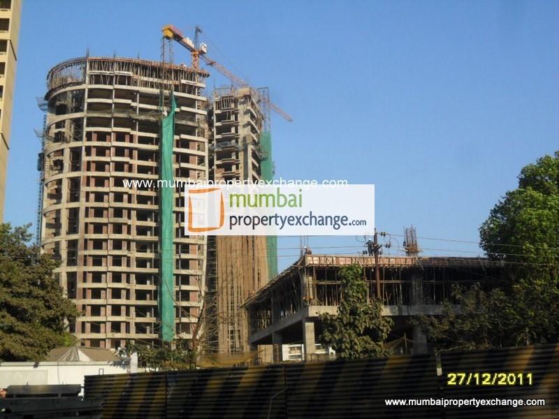 Rosa Bella — Thane West (3)