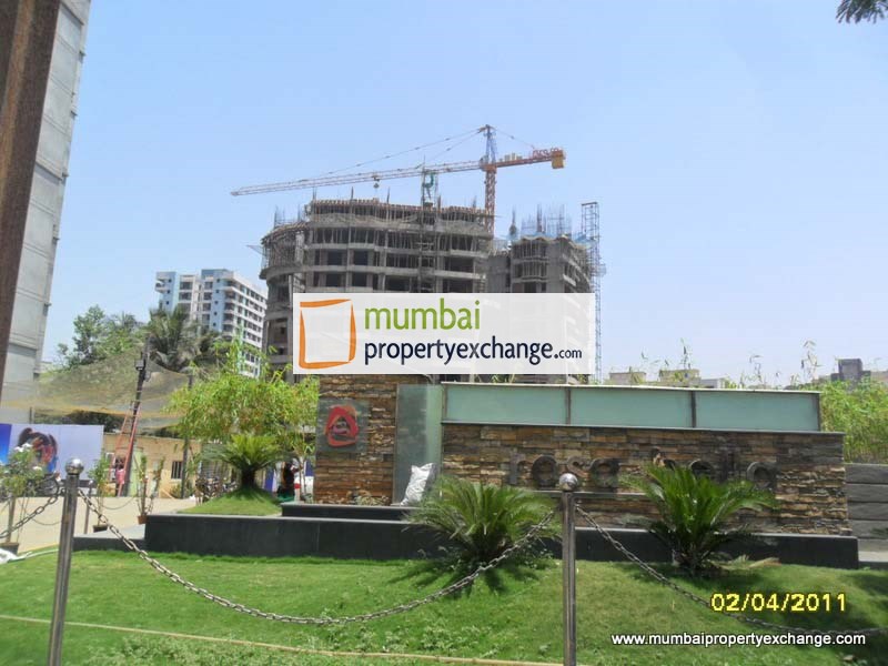 Rosa Bella — Thane West (2)