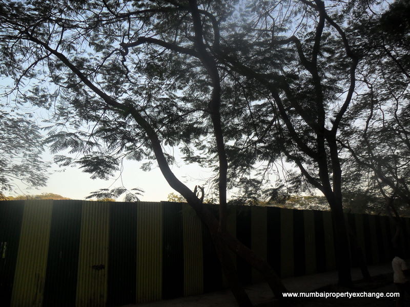 Spring Grove โ Kandivali East (2)