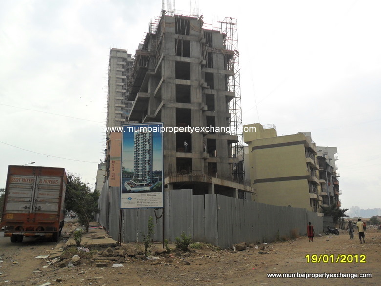 Shelton Vista — Nerul (3)