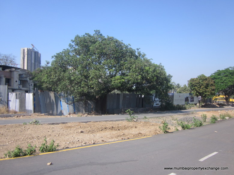 Trinity Oasis — Thane West (5)