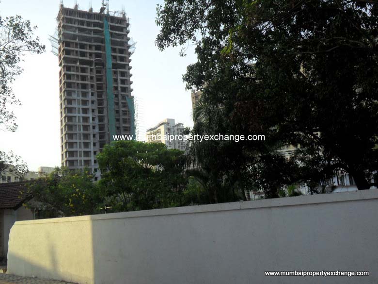 Marigold — Thane West (2)