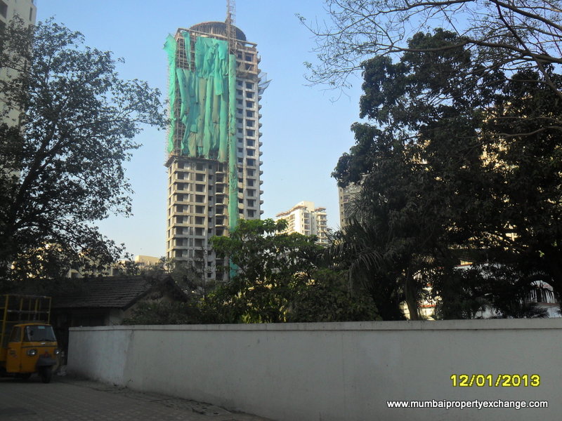 Marigold — Thane West (3)