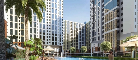 Rising City Dahlia Emilia in Ghatkopar East