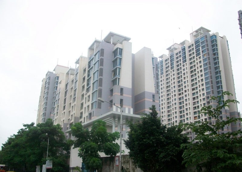 Dosti Flamingos