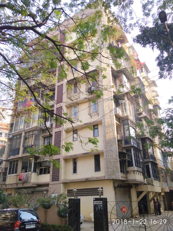 Rajnigandha