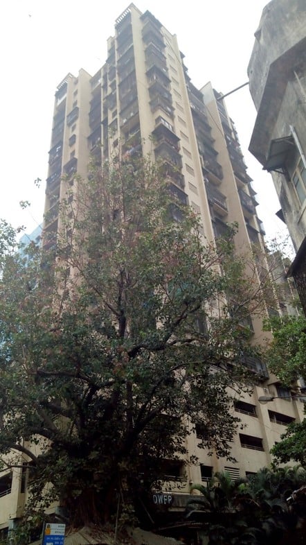 Kinjal Tower