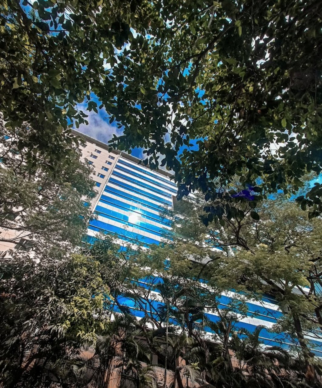 MBC Park
