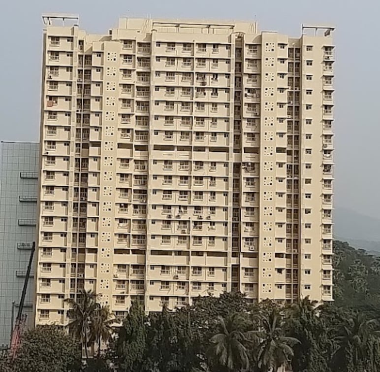 Parijat Hill View