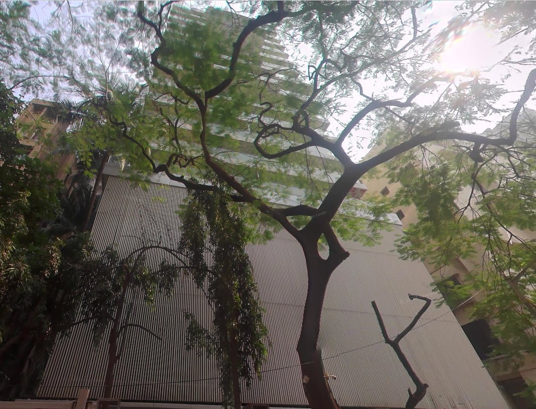 Westend Apartment