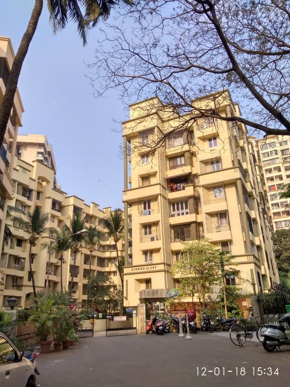 Evening Glory, Powai