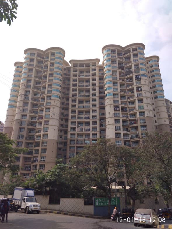Jonquille and Jamaica, Powai